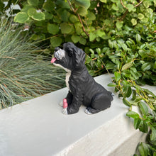 Load image into Gallery viewer, Custom Clay Pet Sculptures