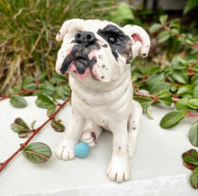 Load image into Gallery viewer, Custom Clay Pet Sculptures