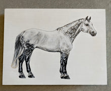 Load image into Gallery viewer, Custom Equestrian Portraits on wood panel
