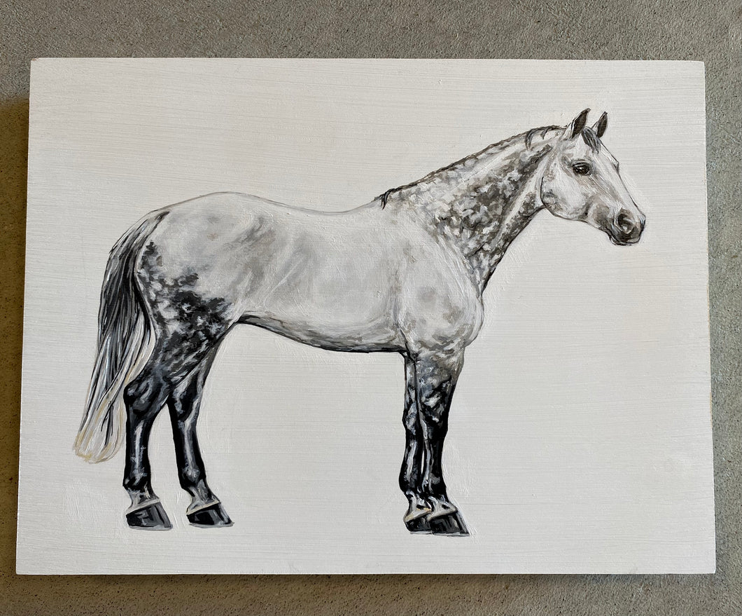 Custom Equestrian Portraits on wood panel