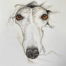 Load image into Gallery viewer, Custom Watercolour Pet Portraits
